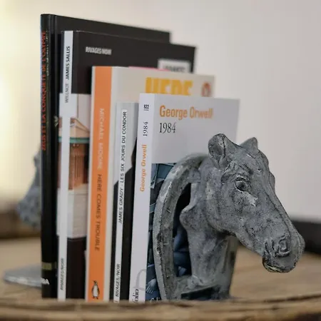Διαμέρισμα Le Cheval De - F2 Champenois Hypercentre